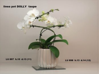 I01H-linea pot DOLLY