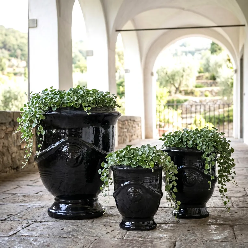 ANDUZE GLZ NERO
