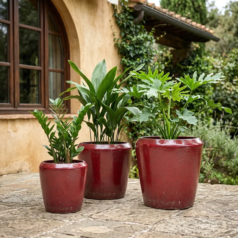 HELLAS GLZ ROSSO OXBLOOD