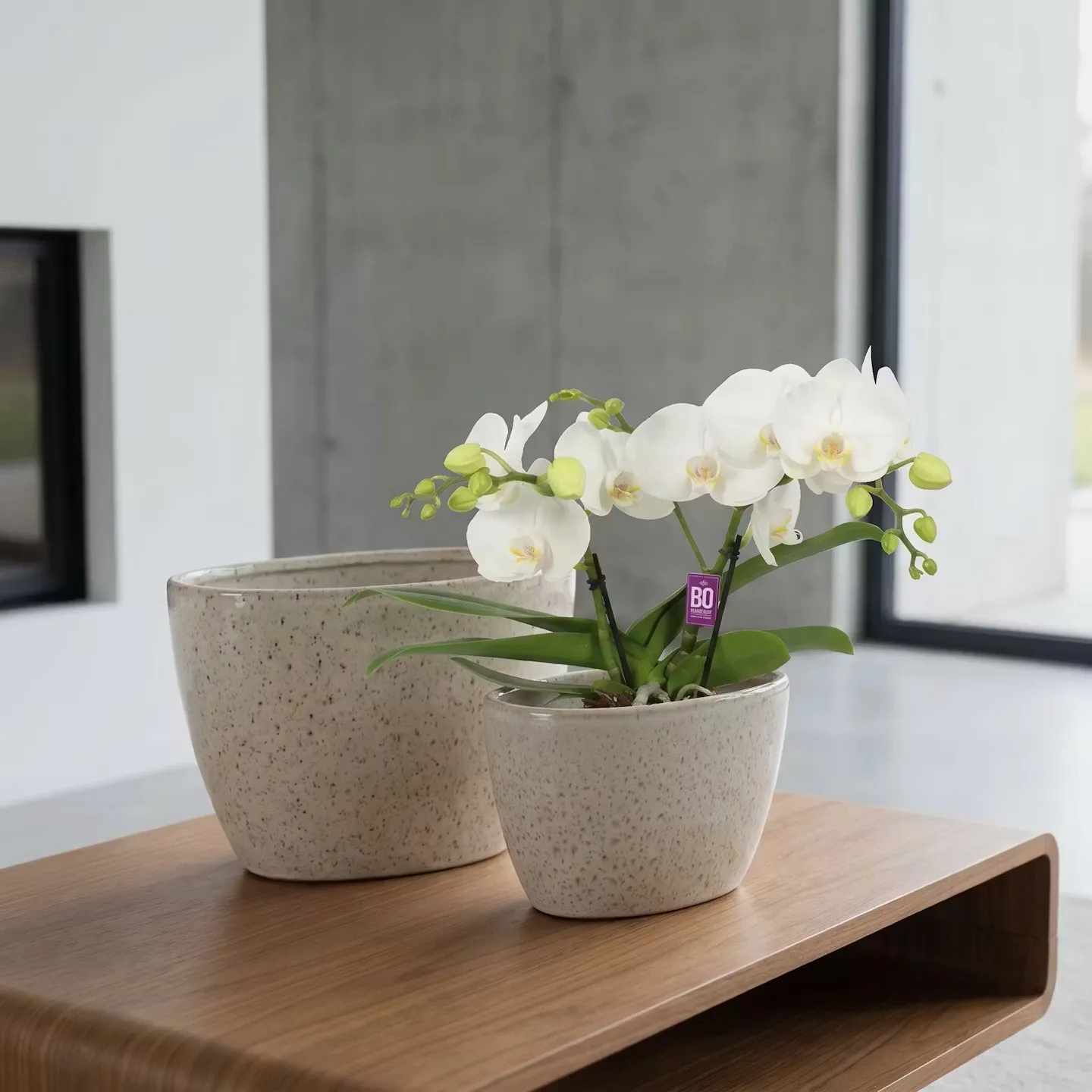 KARIN VASCHETTA OVALE BEIGE