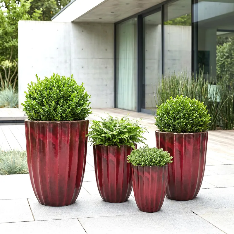 NOBLE RIB GLZ ROSSO OXBLOOD