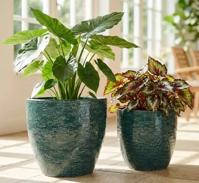 SINIA VERDE SCURO