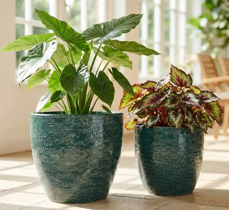 SINIA VERDE SCURO